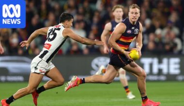 AFL live updates: Adelaide Crows vs Collingwood at Adelaide Oval round 20 blog, scores and stats