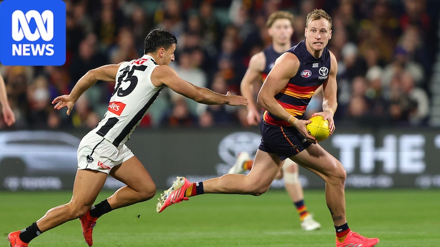 AFL live updates: Adelaide Crows vs Collingwood at Adelaide Oval round 20 blog, scores and stats