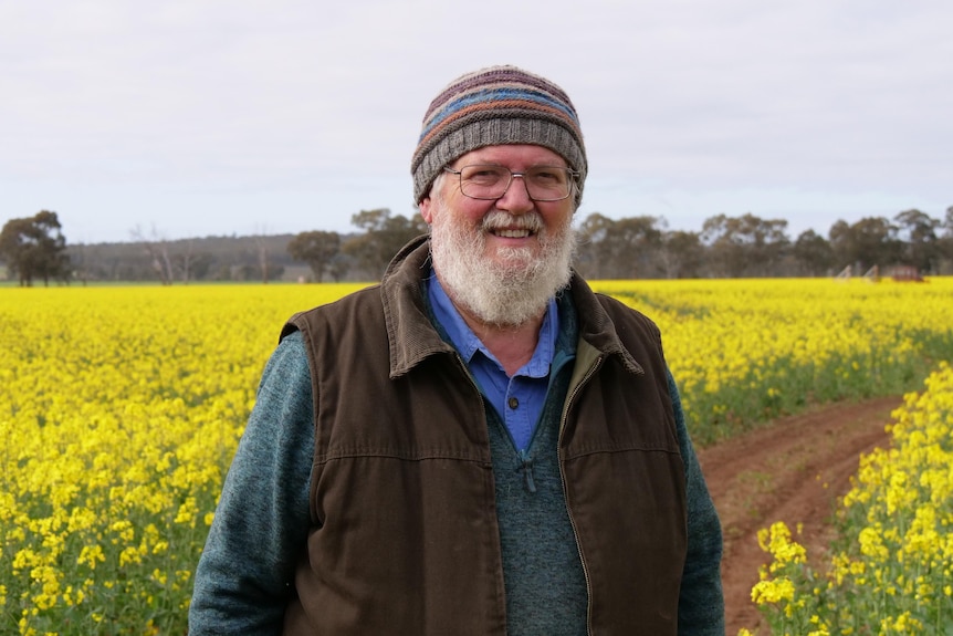 A man wearing a beanie stands in front of a flowering canola crop