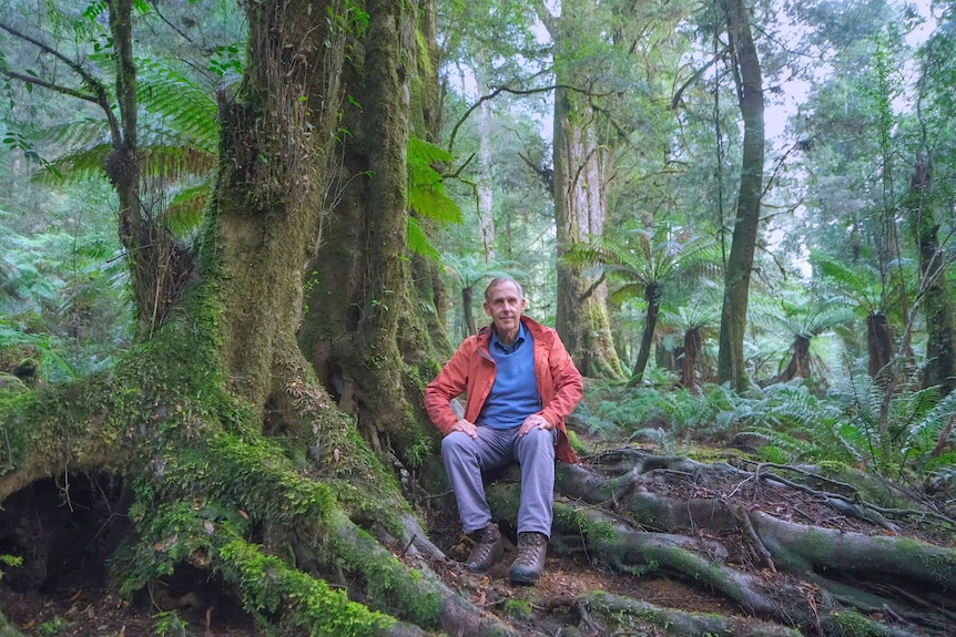 Bob Brown in the Styx forest in Tasmania