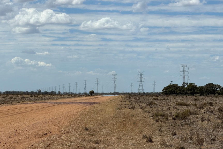 A long line of transmission towers stretches across a flat, tree-less plain in western NSW.