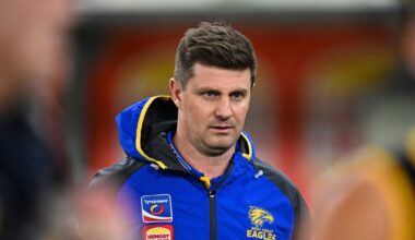 Eagles expecting Tigers' best: McQualter