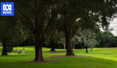 Moore Park Golf Course carve up makes way for new green space in inner Sydney
