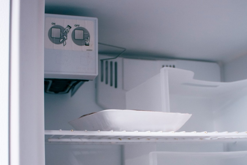The inside of a freezer, with two trays of meat and a takeaway box.