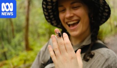Major milestone recorded as part of nationwide Bug Hunt, a win for citizen science