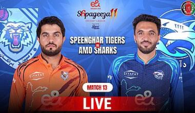 Shpageeza Cricket League 2026 - Speen Ghar Tigers vs Amo Sharks, Match 13