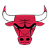 Chicago Bulls logo
