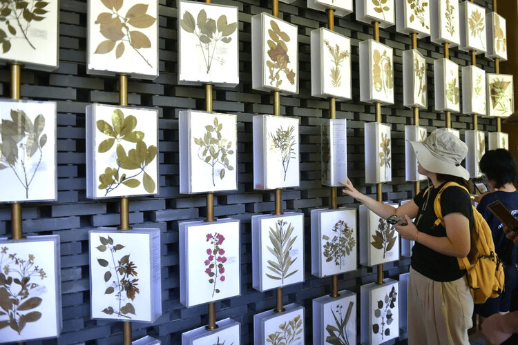 What Can Architectural Practice Learn From Botany? - Image 2 of 17