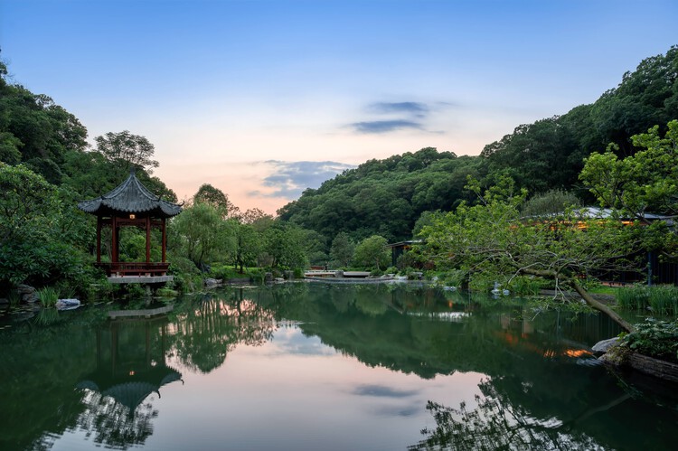 What Can Architectural Practice Learn From Botany? - Image 9 of 17