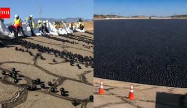 Why Los Angeles dropped 96 million black balls into drinking water | World News