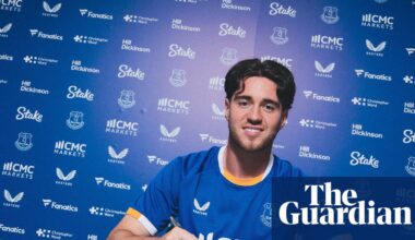 Transfer roundup: Everton clinch Hackney signing, Spurs announce Fernandes | Transfer window