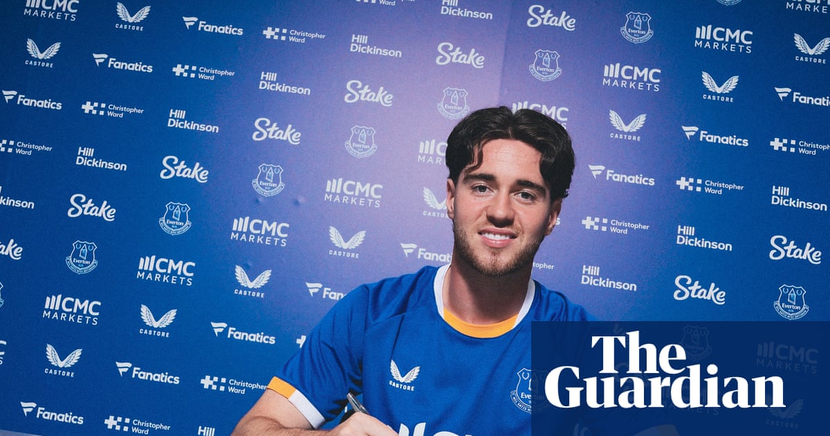 Transfer roundup: Everton clinch Hackney signing, Spurs announce Fernandes | Transfer window