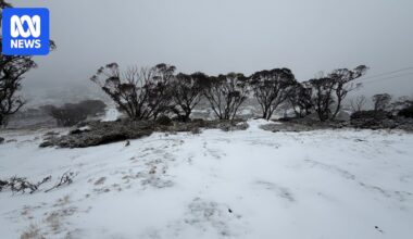 Blizzard finally dumps snow after Australia's warmest June in decades