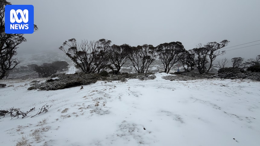 Blizzard finally dumps snow after Australia's warmest June in decades