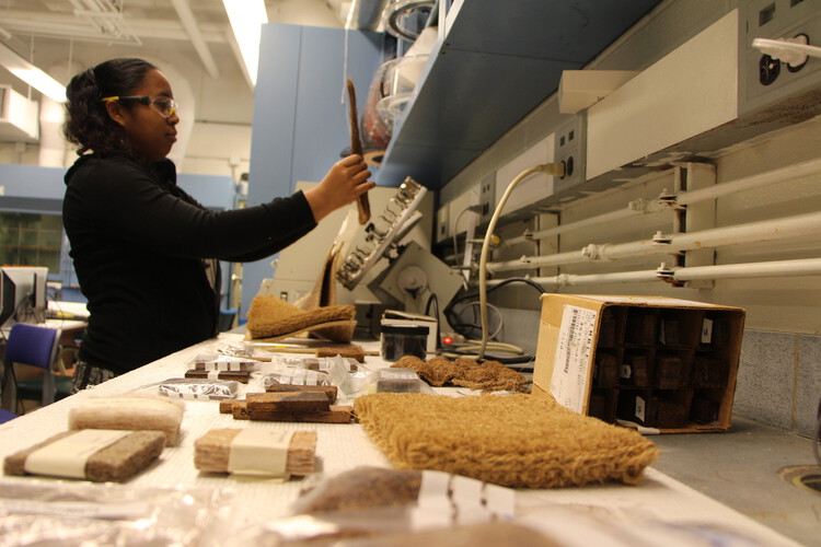 Agricultural Afterlives: When Waste Becomes Architecture - Image 3 of 12