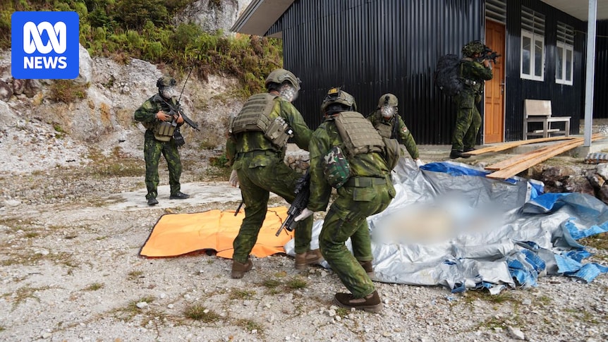 Video shows Indonesian military recovering body of US pilot killed in Papua