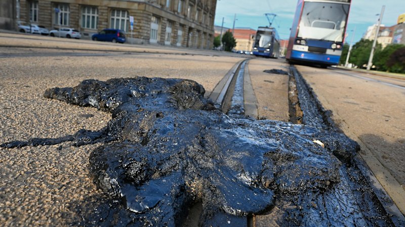 Extreme heat in Europe: Why climate change experts warn the record-breaking death toll is a window into the future