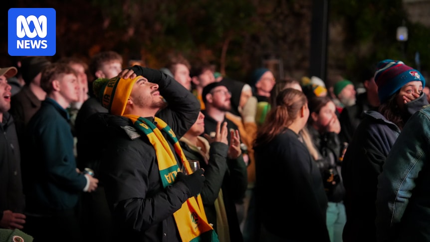 Socceroos World Cup viewing parties across Australia provide great entertainment but end in deep disappointment