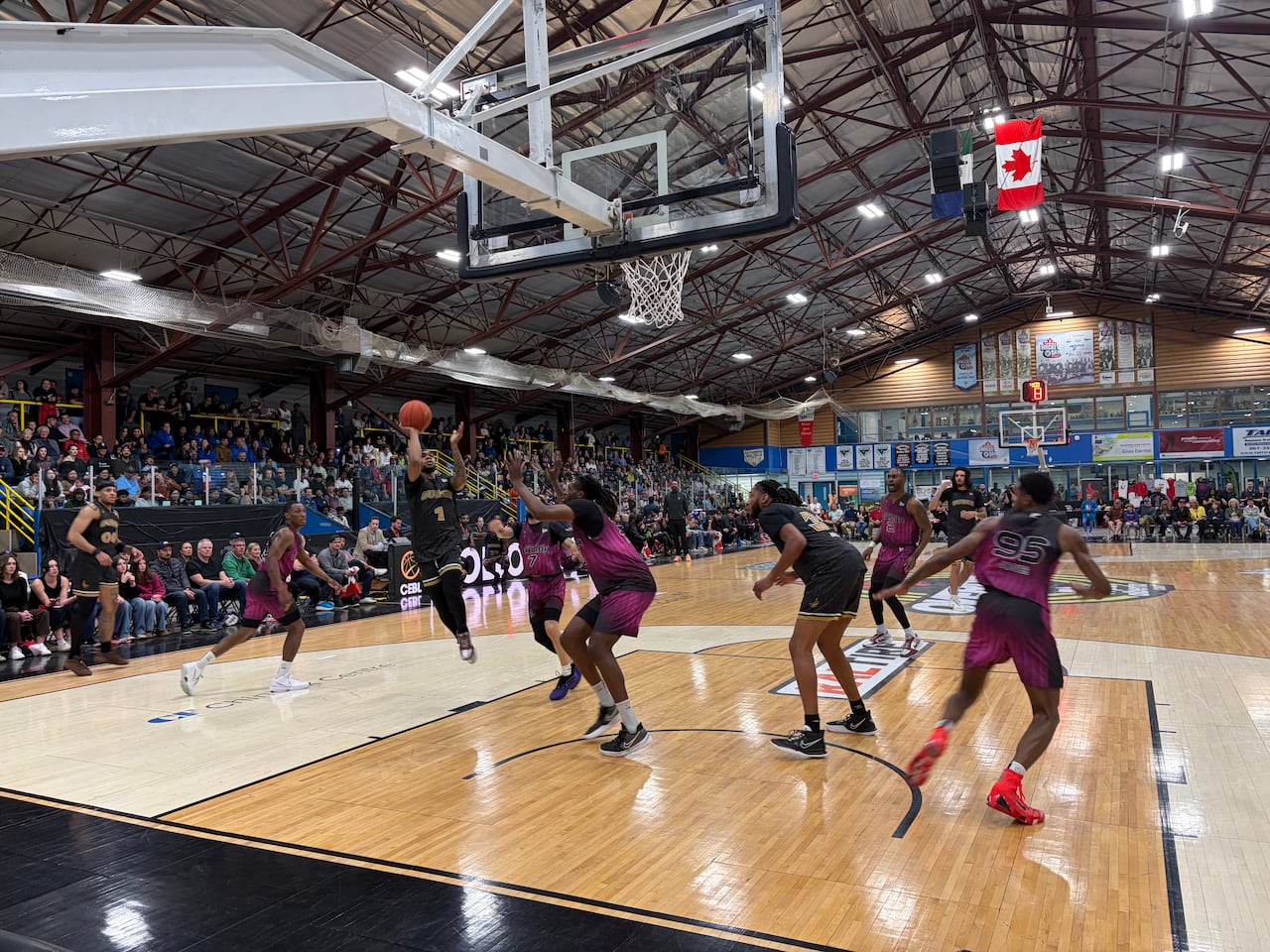 Players are in position during a basketball game.