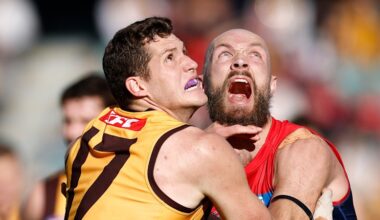 AFL 2026: Brayden Maynard and Touk Miller got hefty fines for umpire contact. They should have been suspended