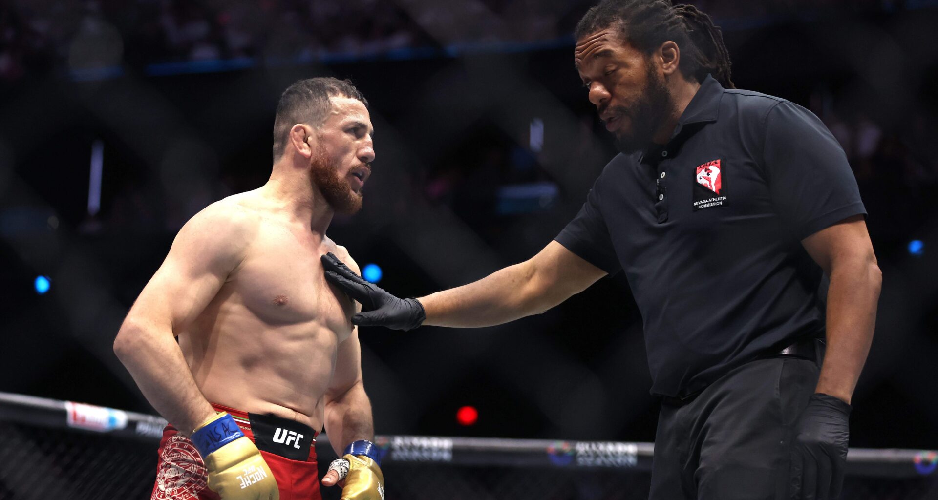 Former UFC Champion Trashes MMA Referee Herb Dean