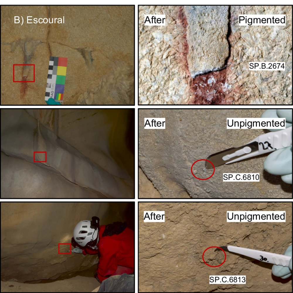 The images on the left provide a broader view of the sample context for A Covarón and B Escoural. The images on the right show close-up views taken before and/or after sampling. -