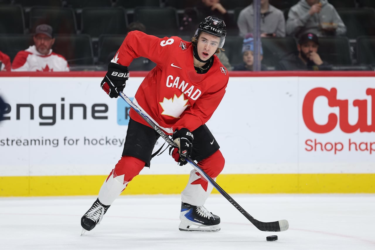 Canadian male hockey player.