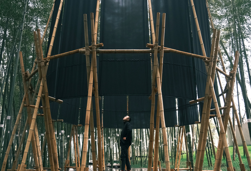 a black fabric veil hovers within a raw bamboo matrix in hubei's dense grove - 3