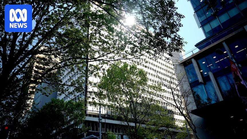 Reserve Bank chief economist Sarah Hunter warns of more frequent supply shocks