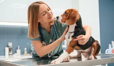 Why The Hardest Part Of Veterinary Medicine Isn't Medicine At All