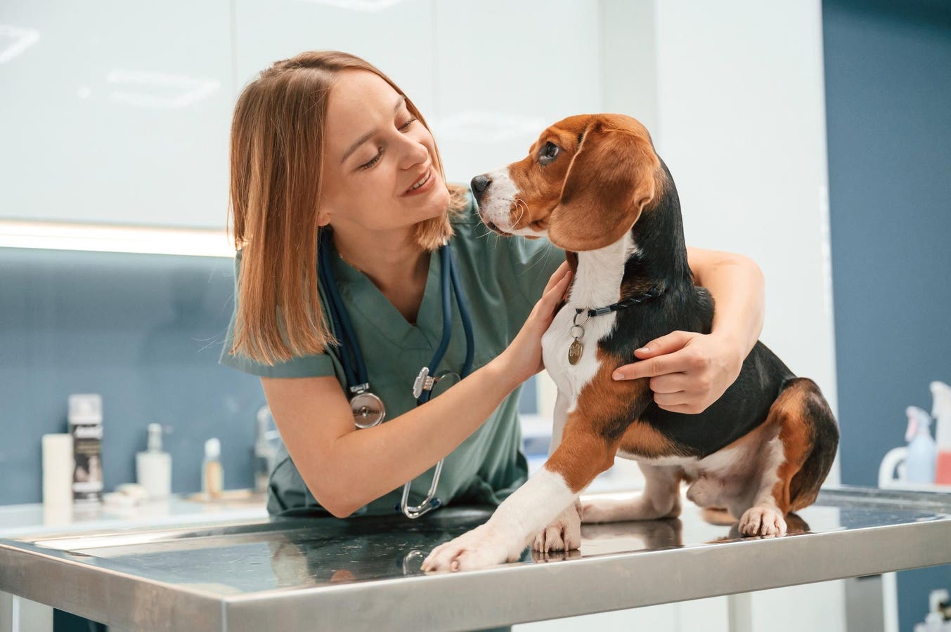 Why The Hardest Part Of Veterinary Medicine Isn't Medicine At All