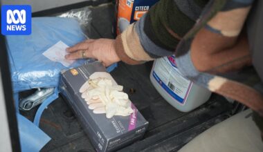 WA wildlife carers lacking resources at frontline of state's bird flu response