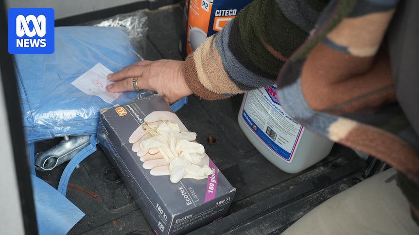 WA wildlife carers lacking resources at frontline of state's bird flu response