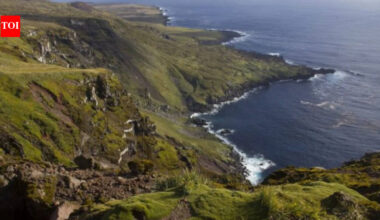 Six helicopters will drop 550 tons of poison on this island: Why a project is spending $10 million on this exercise |