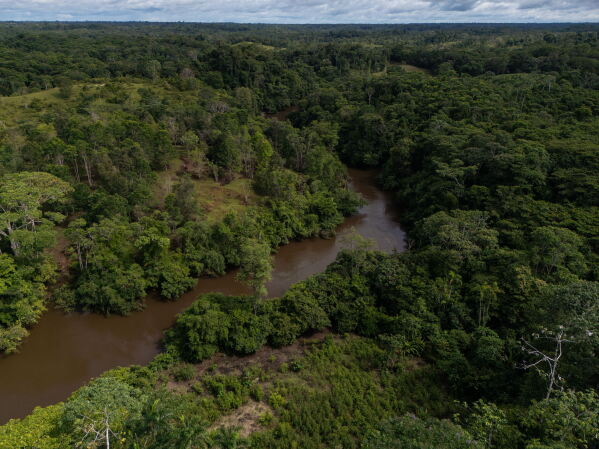 The Putumayo River flows near visible spots of deforestation on the outskirts of Puerto Asis, Colombia, Nov. 26, 2025. (AP Photo/Ivan Valencia, File)