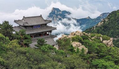 China's Blade Fence Around Mount Tai: A Danger to Wildlife and Ecosystems | World News