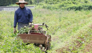 More foreign workers push Japan's overseas remittances to record high