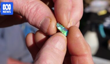 Overseas dealers flock to Winton Opal Festival