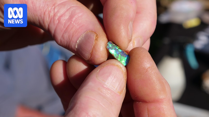 Overseas dealers flock to Winton Opal Festival