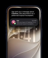 Siri AI