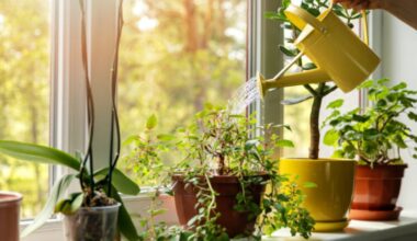 Can gardening keep your brain younger? What neuroscience says