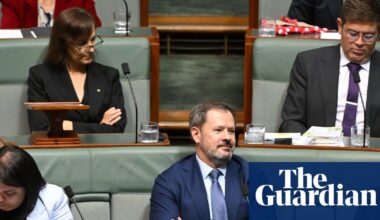 Ed Husic says weakening copyright to benefit AI companies would betray Labor party’s ethos | Australia news