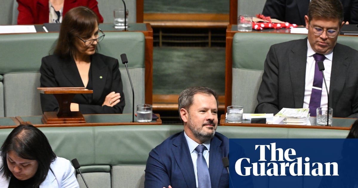 Ed Husic says weakening copyright to benefit AI companies would betray Labor party’s ethos | Australia news
