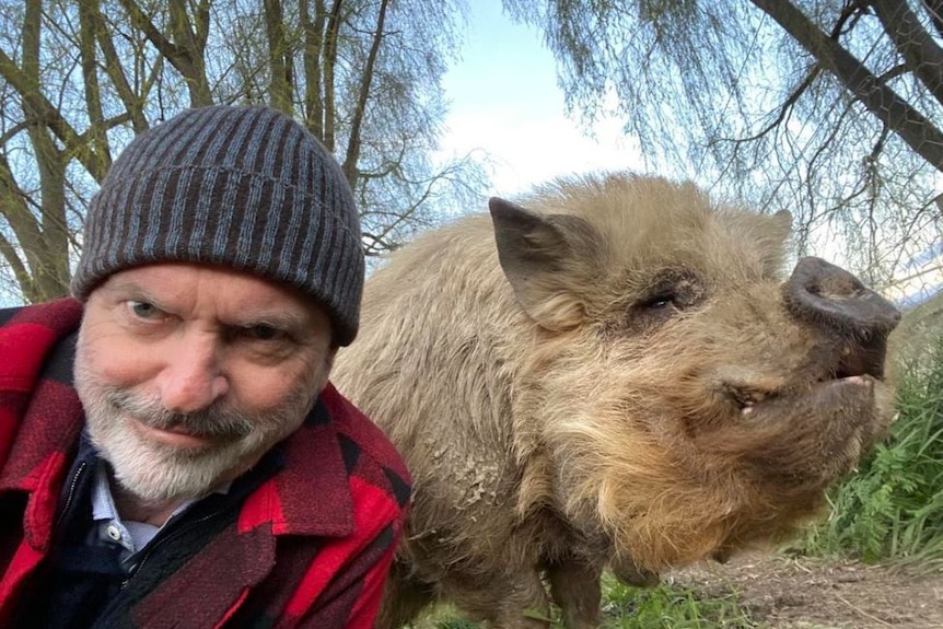 Neill and pig