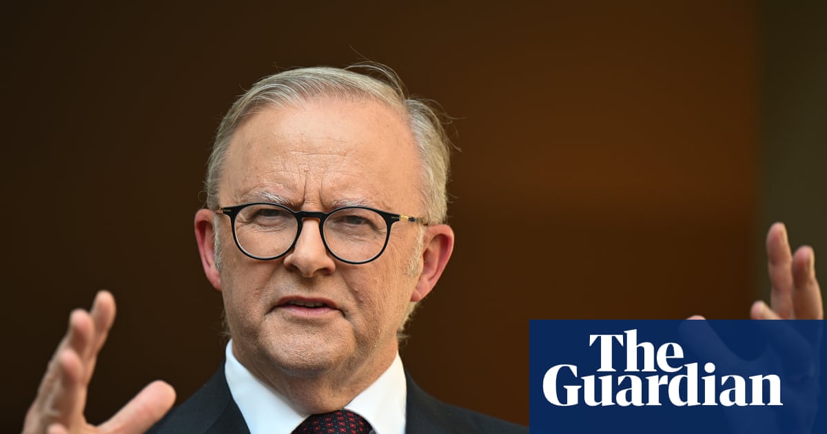 Hanson ‘undermining social cohesion’, Albanese says, as Labor responds to Islamophobia envoy’s report | Australian politics