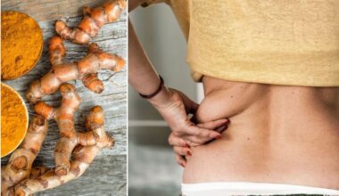 Belly fat: What to add and remove from your diet to tackle the spare tyre during menopause