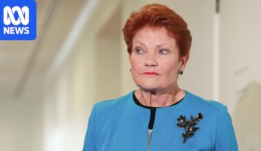 Pauline Hanson says she is 'not backing away' from Tommy Robinson interview