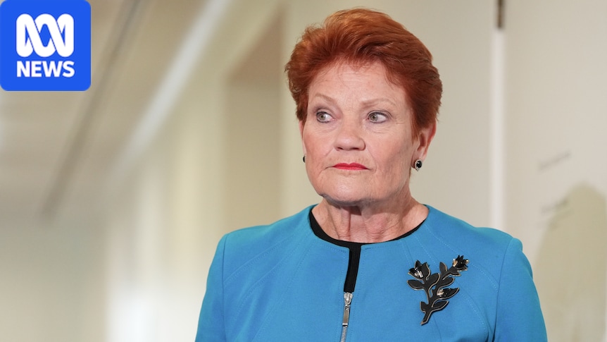 Pauline Hanson says she is 'not backing away' from Tommy Robinson interview