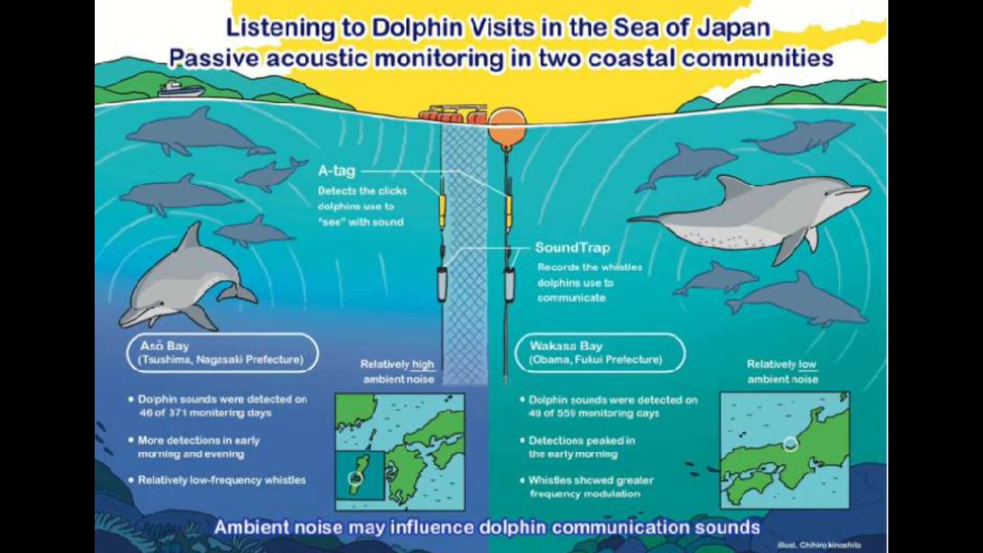 Revelations from passive accoustic monitoring in 2 coastal communities. .