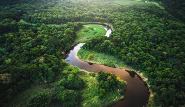 Amazon Soy Moratorium: Amazon soy pact collapse could drive 1.4 million hectares of deforestation in Brazil by 2036, new study finds